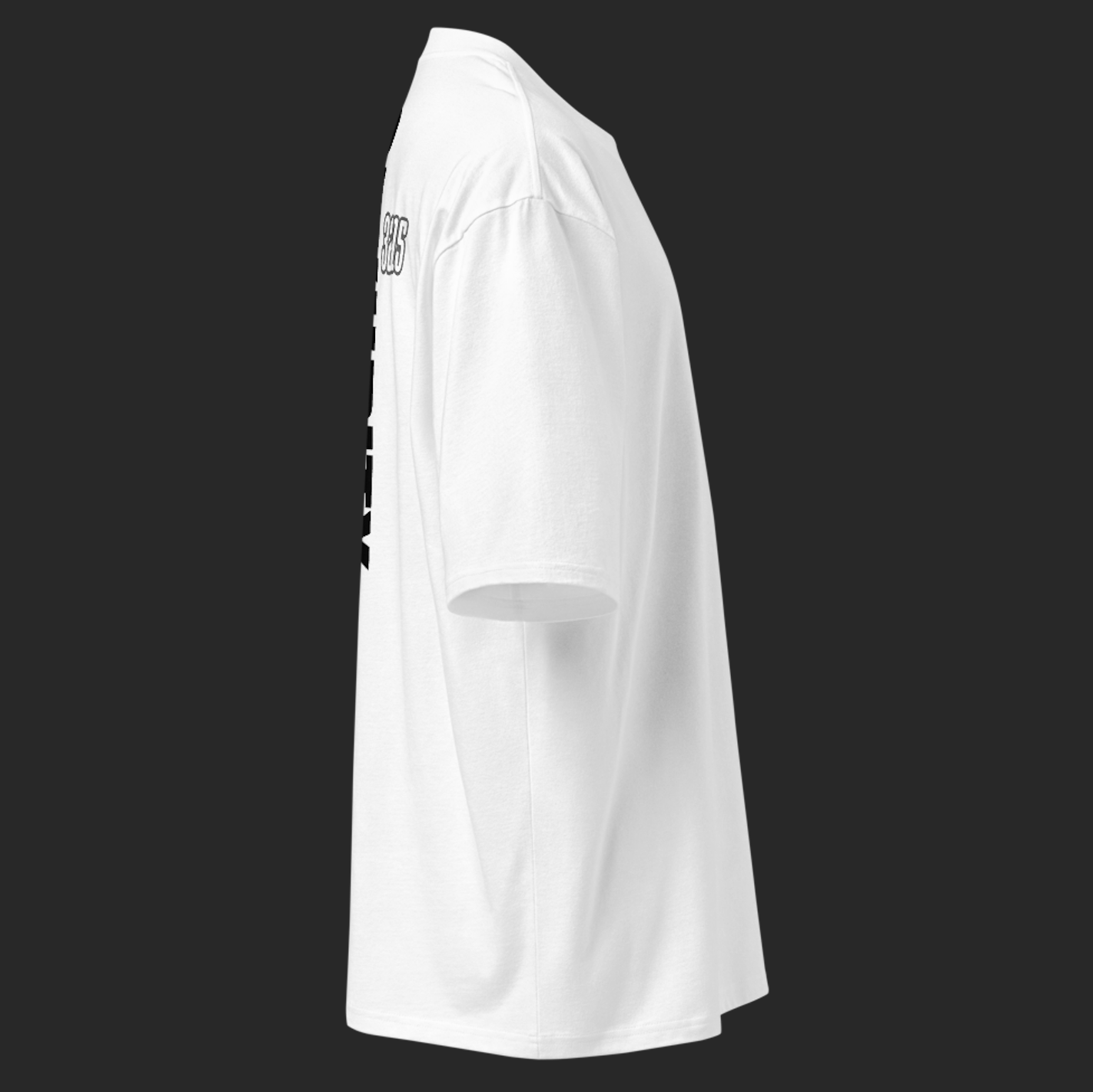 SEXURITY DRESS